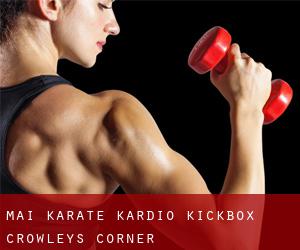 MAI Karate Kardio Kickbox (Crowleys Corner)