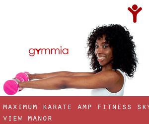 Maximum Karate & Fitness (Sky View Manor)