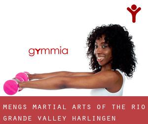 Meng's Martial Arts of the Rio Grande Valley (Harlingen)
