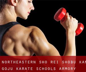 Northeastern Sho-Rei-Shobu-Kan Goju Karate Schools (Armory Square)